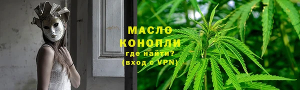 прущие грибы Елизово