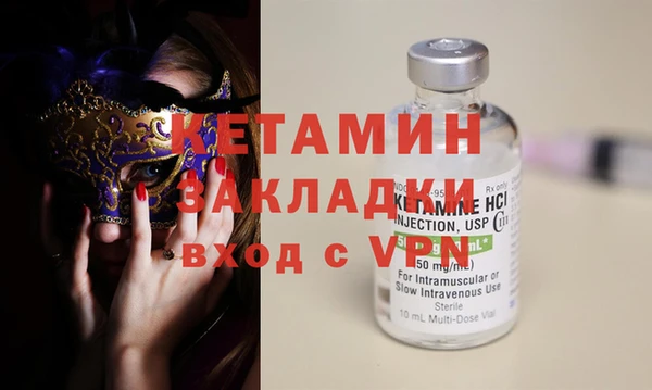 прущие грибы Елизово