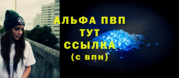 прущие грибы Елизово