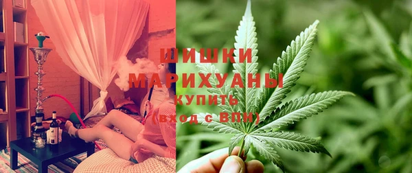 прущие грибы Елизово